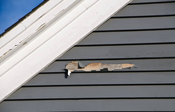 Best Same-Day Junk Removal Services  in Dallas, NC